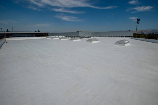 Best Rubber Roofing (EPDM, TPO)  in Westland, MI