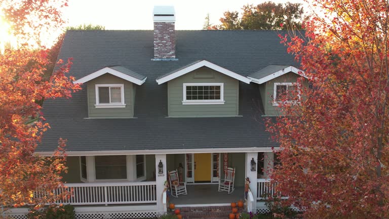 Best Roof Insulation Installation  in Westland, MI
