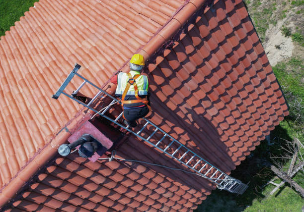 Best Roof Moss and Algae Removal  in Westland, MI