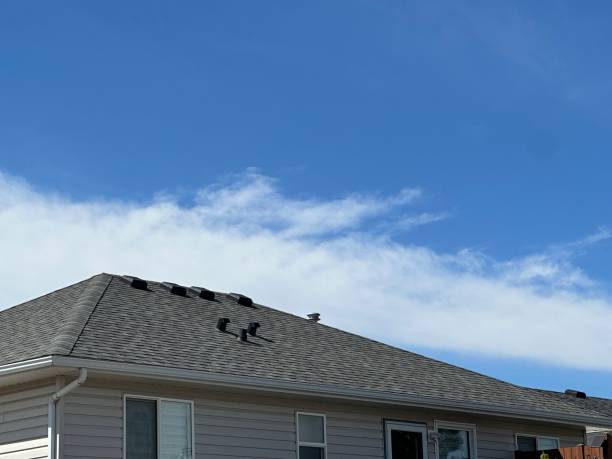 Best Roof Ventilation Installation  in Westland, MI